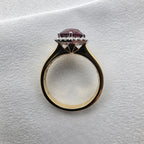 Tanzanian Garnet and Diamond Halo Ring
