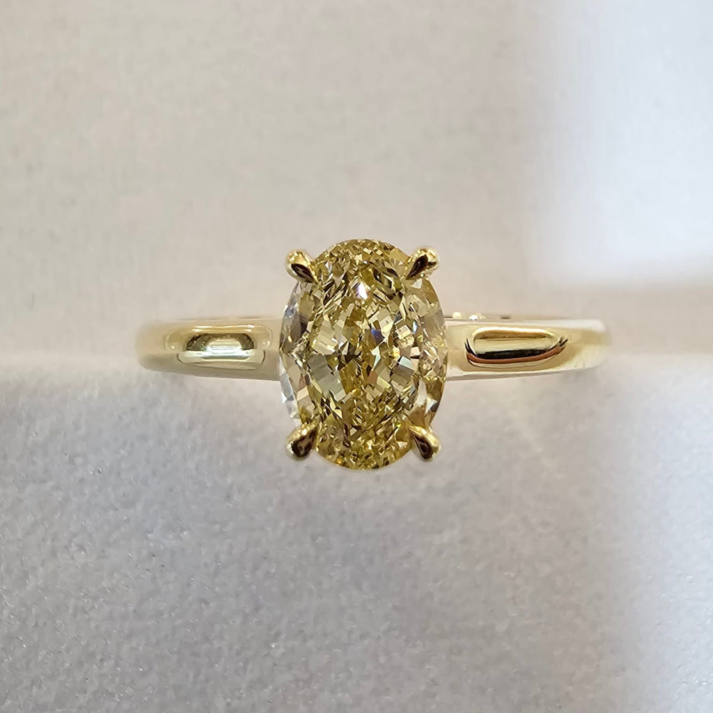 The Fancy Yellow Mollie - JBD Exclusive