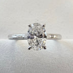 The Mollie - JBD Exclusive