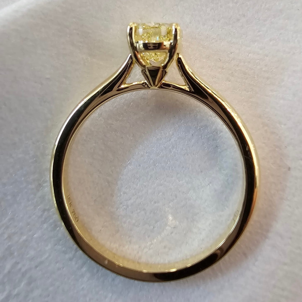 The Fancy Yellow Mollie - JBD Exclusive