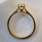 The Fancy Yellow Mollie - JBD Exclusive