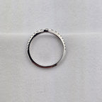 The Petite Curve