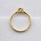 Rubover Set Diamond Ring