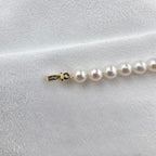 Freshwater Pearl Bracelet