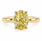 The Yellow Mollie - JBD