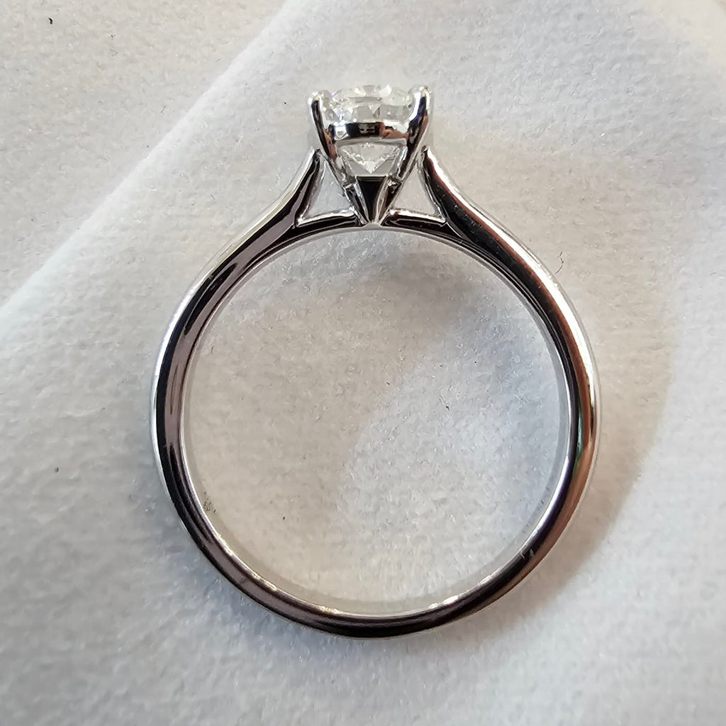 The Mollie - JBD Exclusive