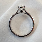 The Mollie - JBD Exclusive