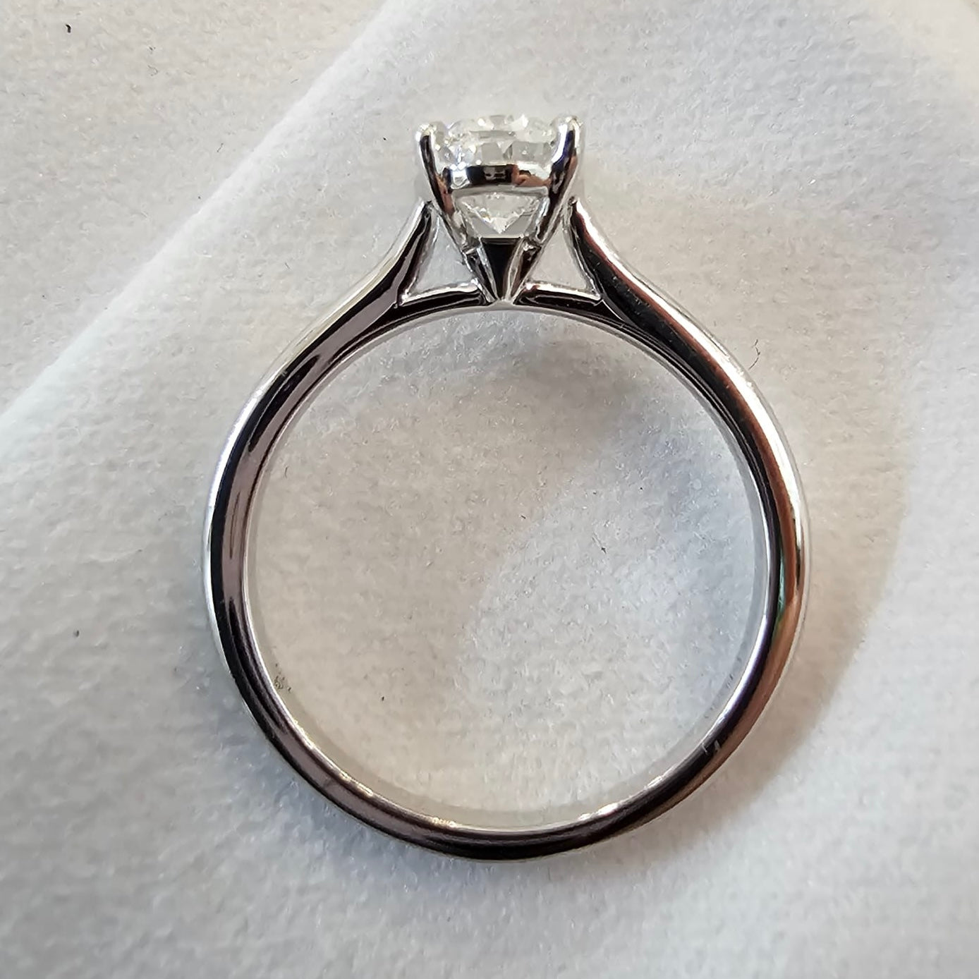 The Mollie - JBD Exclusive