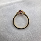 Ruby and Heart Diamond Trilogy