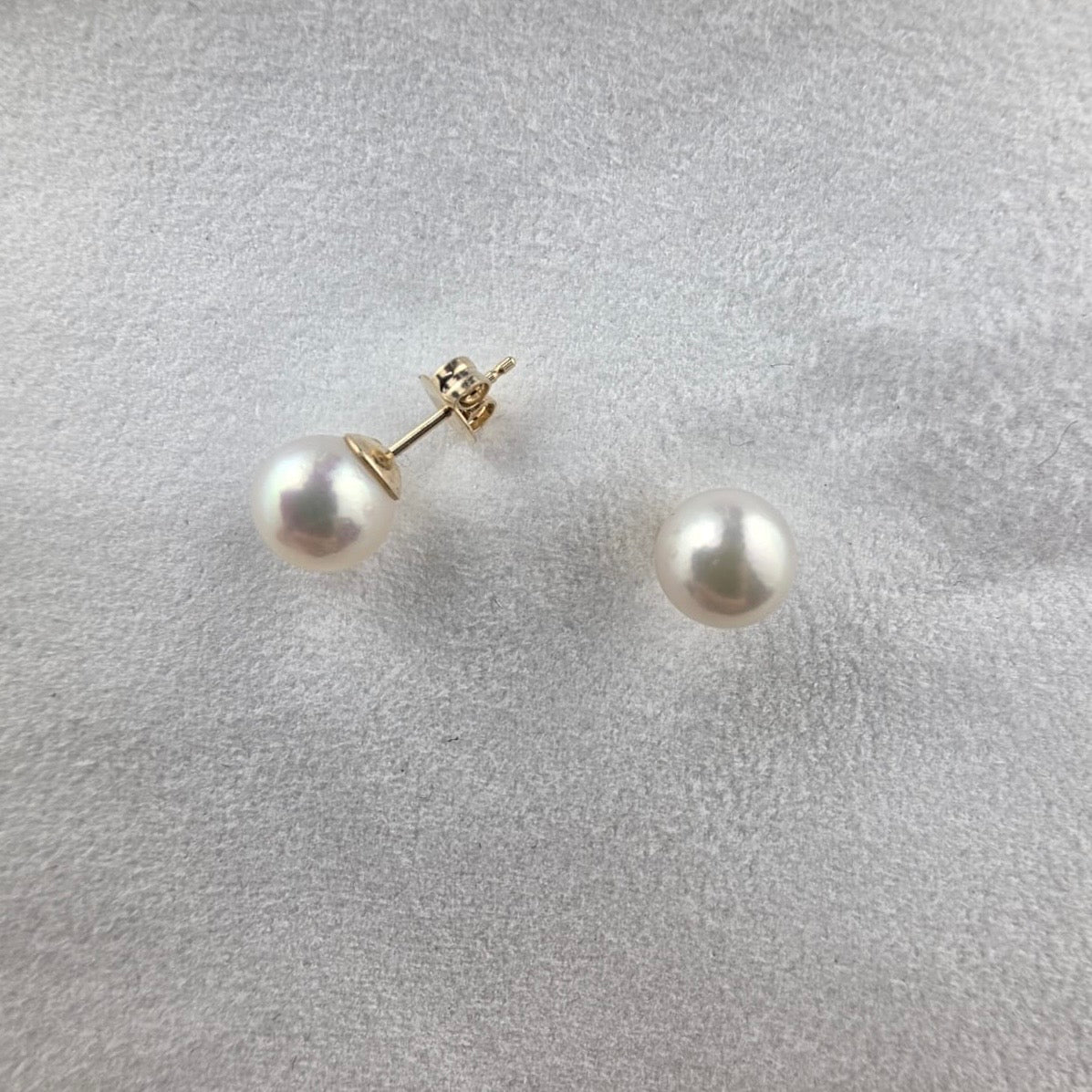 Cultured 6mm Stud